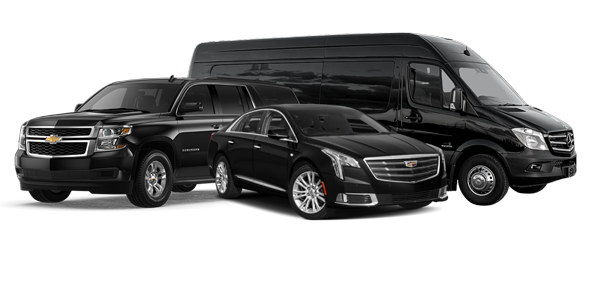 Luxury limo and black car service